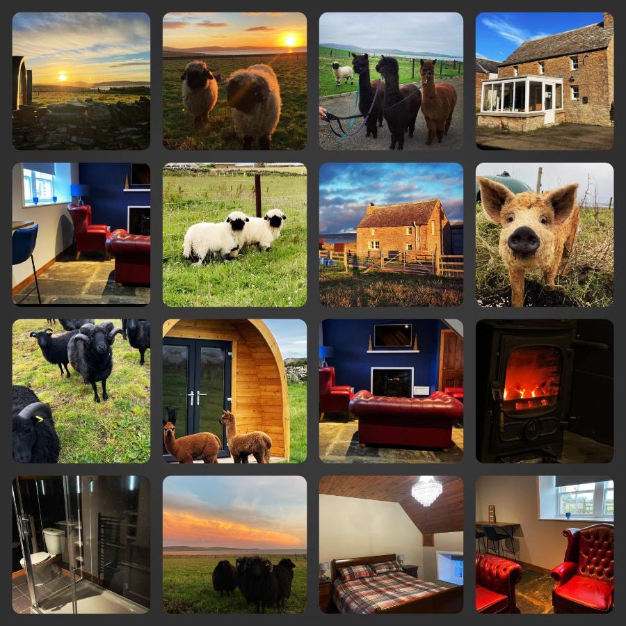 Villa Orkney Farm Bothy Stromness Exterior foto